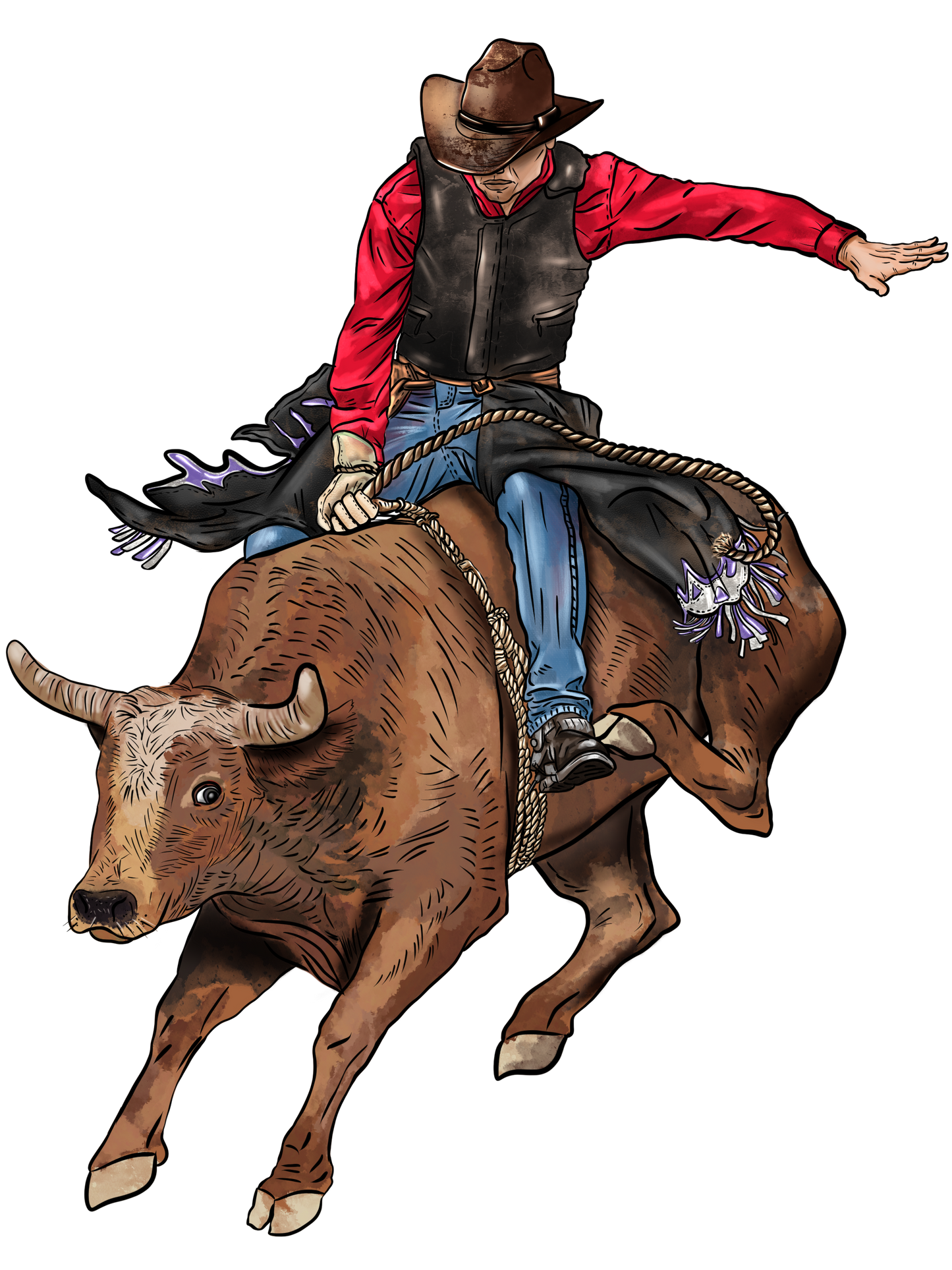 Bull Riding